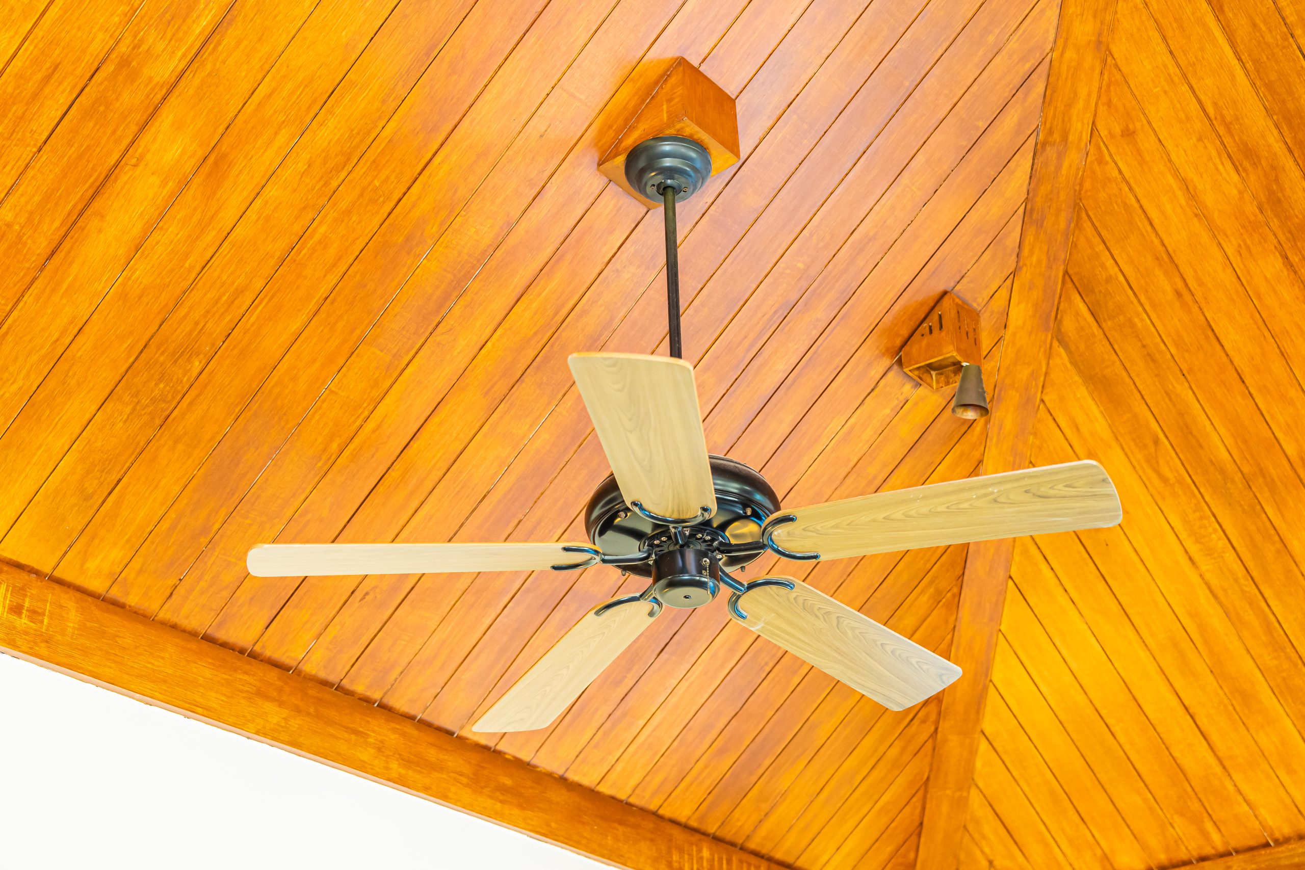 Ceiling Fan: Ceiling Fans For Comfort And Ventilation