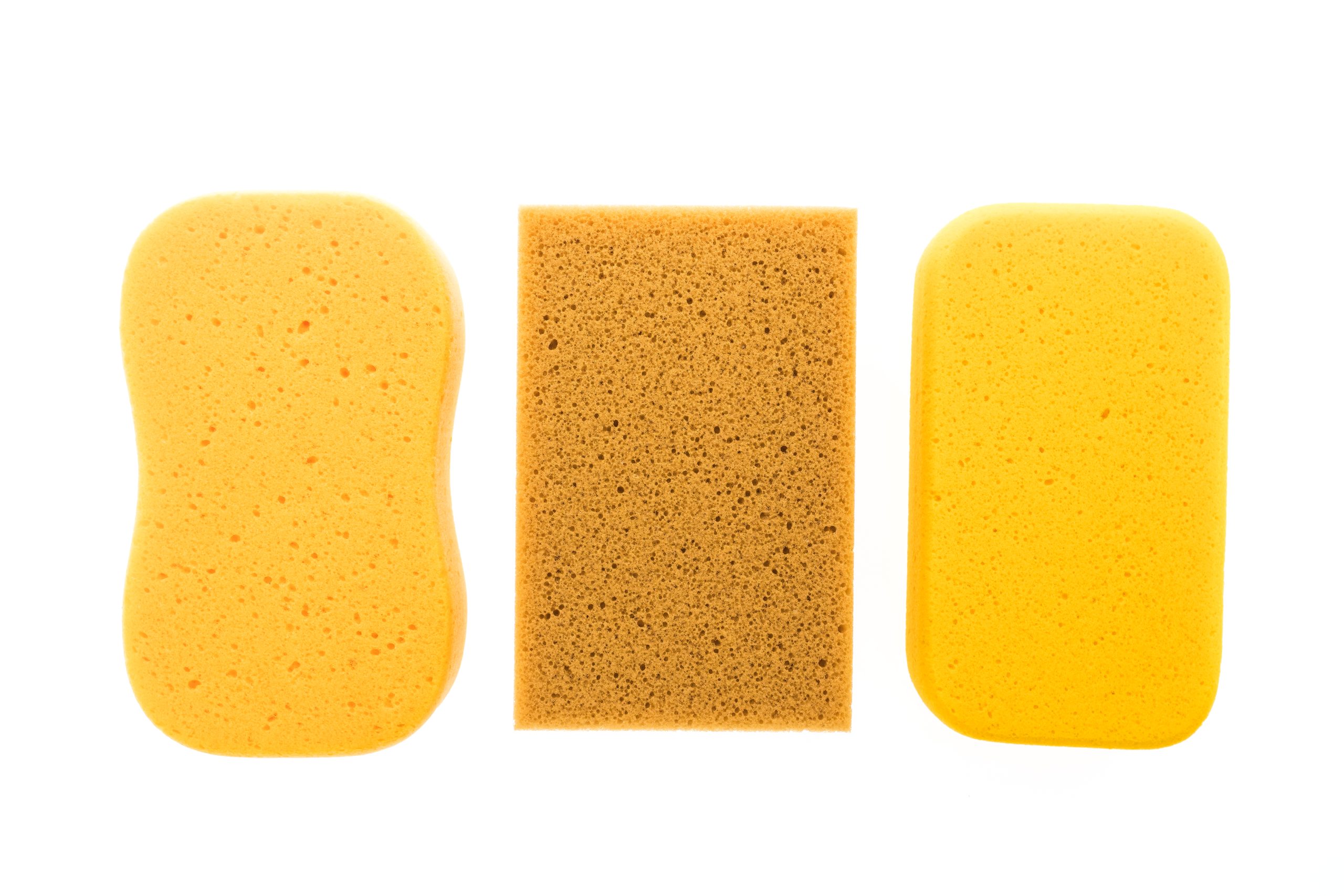 Deep Skin Cleansing Sponge: your guide to choosing the right sponge