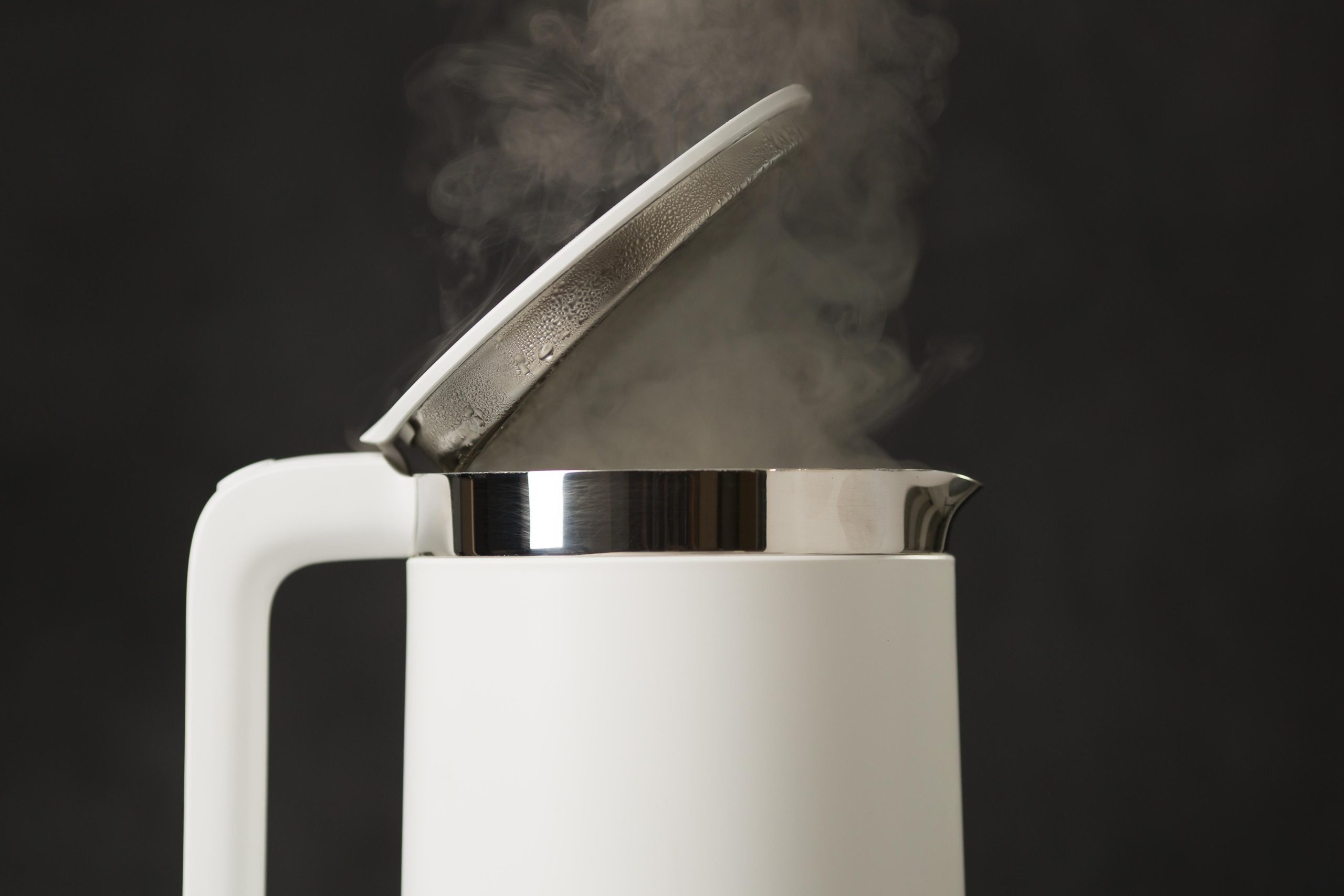 Features of the electric kettle