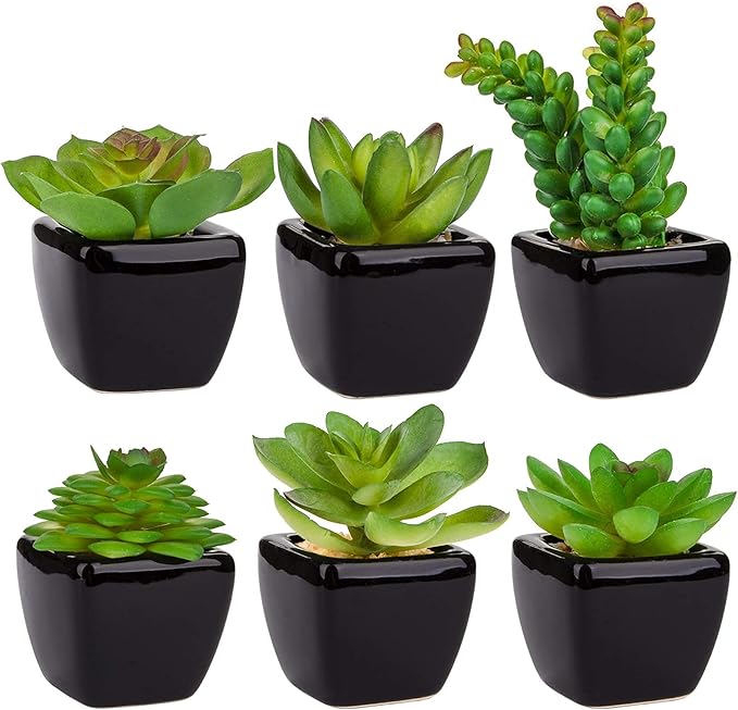 Dried Decorative Plants - Artificial Plants with Ceramic Pots - 6 Pieces