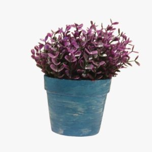 Plastic Plant Pot - Small Plastic Pot For Plants - Multi Color - 1 Piece