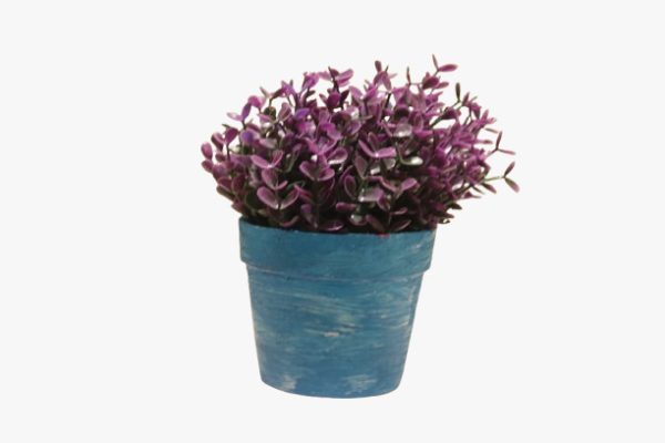 Plastic Plant Pot - Small Plastic Pot For Plants - Multi Color - 1 Piece