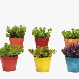 Plastic Plant Pot - Small Plastic Pot For Plants - Multi Color - 1 Piece