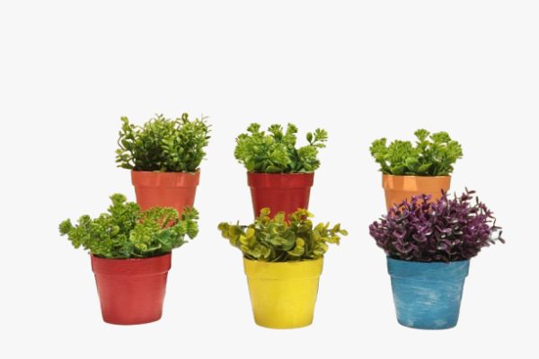 Plastic Plant Pot - Small Plastic Pot For Plants - Multi Color - 1 Piece